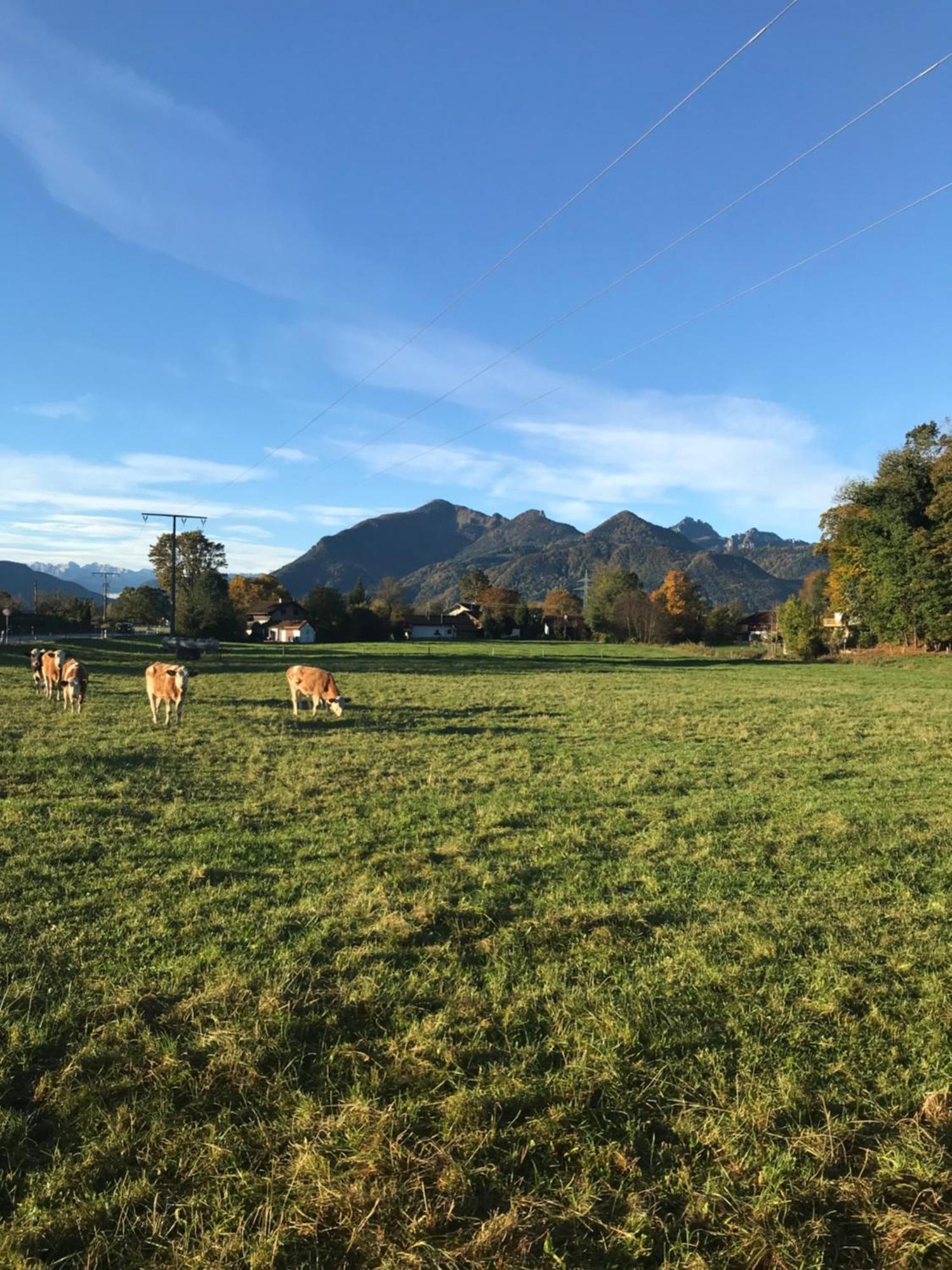 Ferienhaus Westerbuchberg Übersee Exteriér fotografie