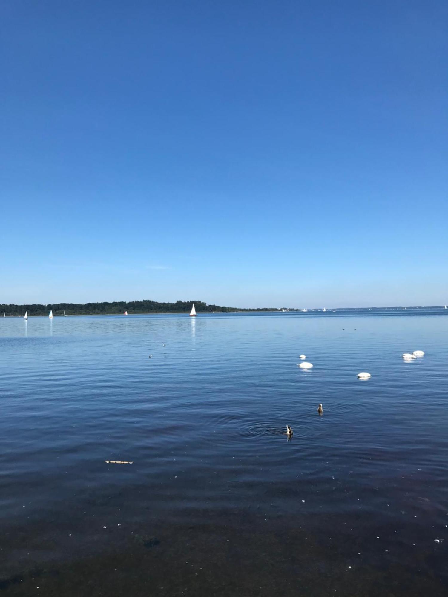 Ferienhaus Westerbuchberg Übersee Exteriér fotografie