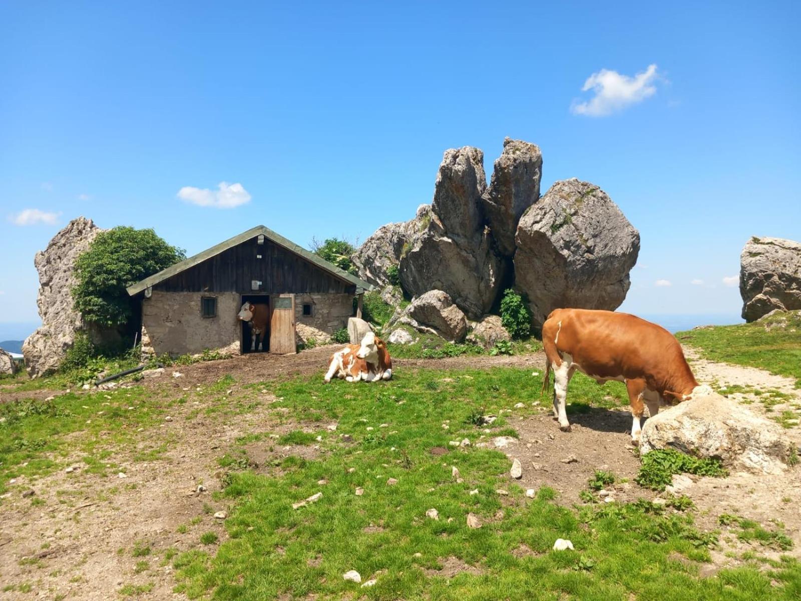 Ferienhaus Westerbuchberg Übersee Exteriér fotografie